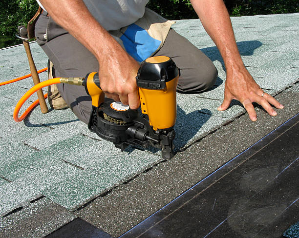 Best Roof Gutter Cleaning  in , VA
