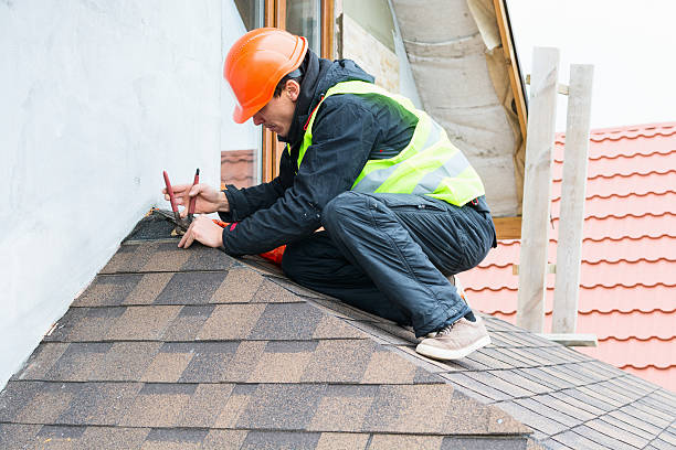 Best Roof Gutter Cleaning  in , VA